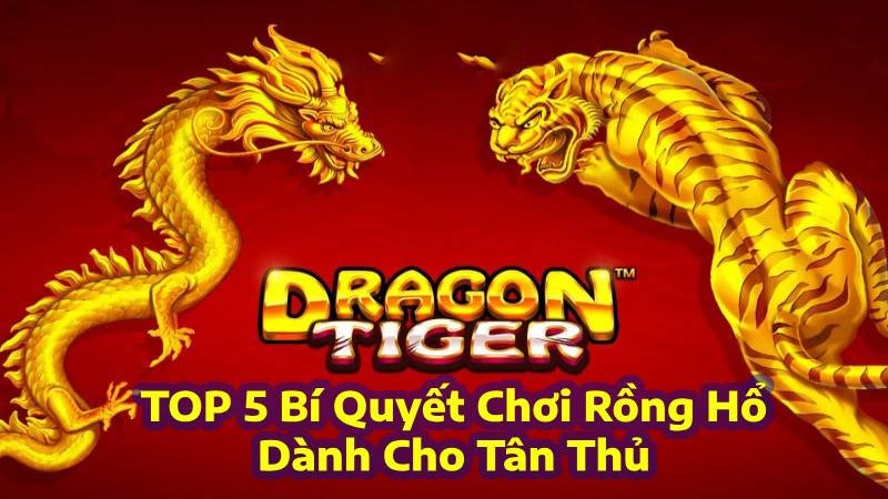 Tổng Hợp TOP 5 Bí Quyết Chơi Game Rồng Hổ Online Dành Cho Tân Thủ Tổng Hợp TOP 5 Bí Quyết Chơi Game Rồng Hổ Online Dành Cho Tân Thủ