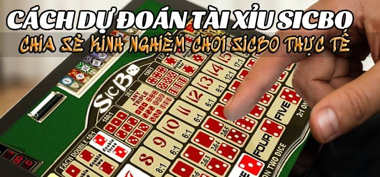 3 Cách Chơi Sicbo Hiệu Quả Nhất Và 2 Kinh Nghiệm Chơi Sicbo Chắc Thắng
