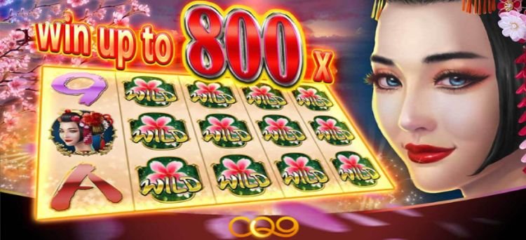 CQ9 Sakura Legend Slot Game