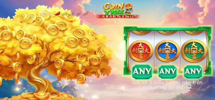 JILI Coin Tree Slot Game